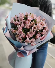 21 Светлая Альстромерия в упаковке 