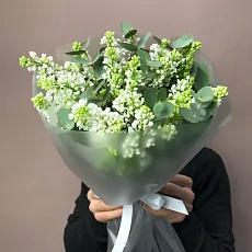 11 Веток белой сирени с эвкалиптом