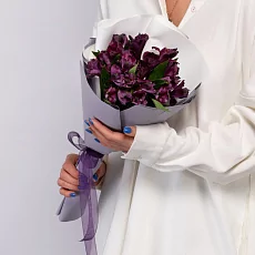 5 Фиолетовых Альстромерий