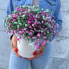 Коробка с цветной гипсофилой