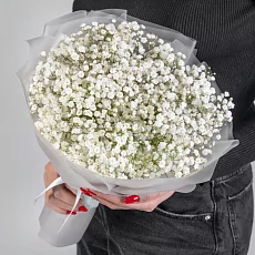 9 Белых Гипсофил 