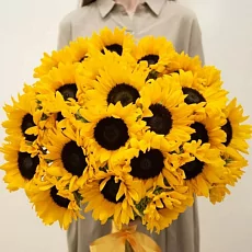 29 Подсолнухов 