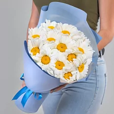 15 Крупных Ромашек в упаковке 