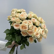 11 Кремовых кустовых роз