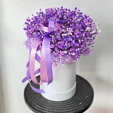 Коробка с фиолетовой гипсофилой 