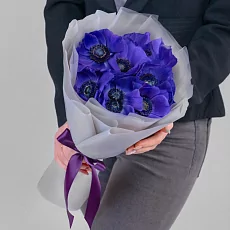 9 Синих Анемонов в упаковке 