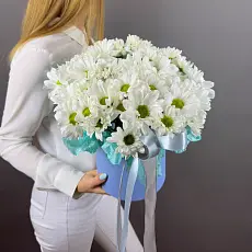 Композиция живых цветов с хризантемой бакарди