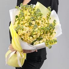 19 Желтых Маттиол в упаковке 