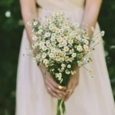 Букет невесты 15 кустовых ромашек 