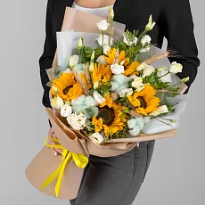 Подсолнухи и хлопок