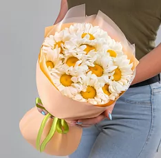 11 Крупных Ромашек