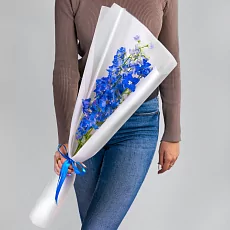 3 Синих Дельфиниума