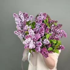 15 веток сирени в дизайнерской упаковке