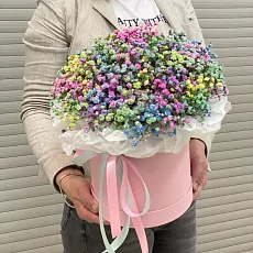 Радужная гипсофила в розовой коробке 