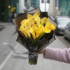 19 Желтых Калл в упаковке