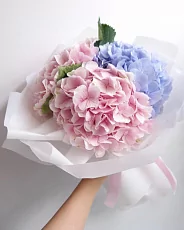 3 Нежные Гортензии в упаковке
