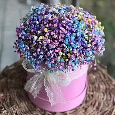 Гипсофила разноцветная в шляпной коробке