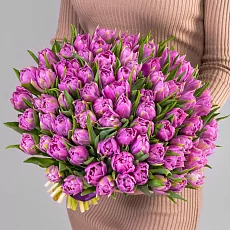 75 Сиреневых Тюльпанов