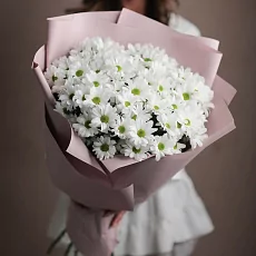 11 Кустовых Хризантем Ромашка Белых в упаковке