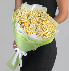 Букет кустовых ромашек в упаковке