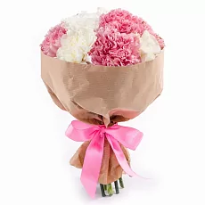 15 Снежных и розовых Гвоздик