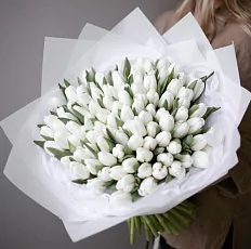 101 Белый Тюльпан в пленке