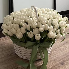 Корзина снежных тюльпанов