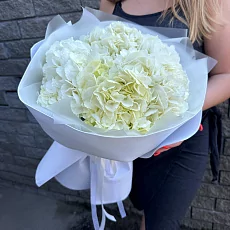 5 Белых гортензий в фоамиране