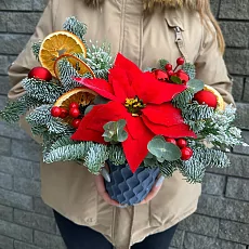 Новогодняя композиция 