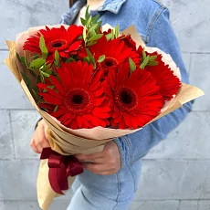 7 Красных гербер с зеленью