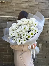 7 Кустовых Хризантем в упаковке