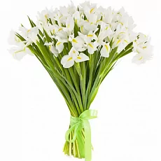 35 Белых Ирисов под ленту 