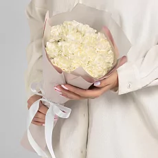 15 Светлых Диантусов