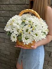 Хризантема кустовая в корзине композиция с матрикарией