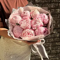 Букет из 9 нежных пионов 