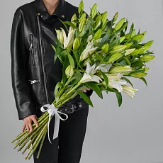 15 Снежных Лилий