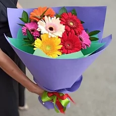 7 Ярких Гербер