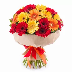 25 Гербер Микс в упаковке