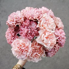 17 Гвоздик под ленту 