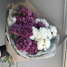 21 Белая и Фиолетовая Гвоздика