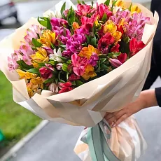 39 Альстромерий Микс в упаковке 