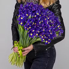 101 Синий Ирис под ленту 