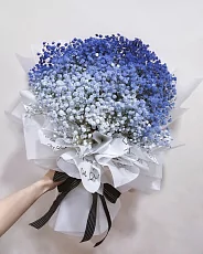 15 Синих Гипсофил