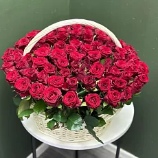 101 роза Эквадор в корзине