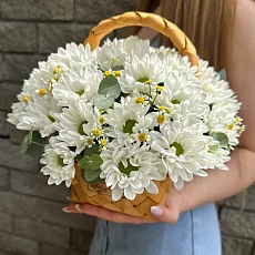 Хризантема кустовая в корзине композиция с матрикарией