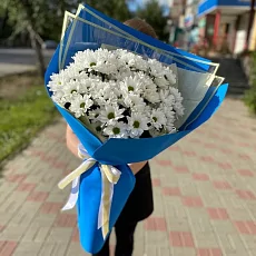 Ромашковые Хризантемы 11 шт