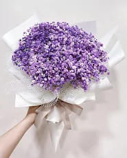 15 Фиолетовых Гипсофил