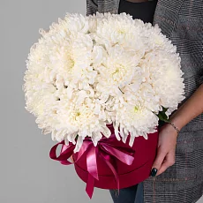 15 Хризантем в коробке