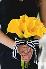   7 Желтых Калл 