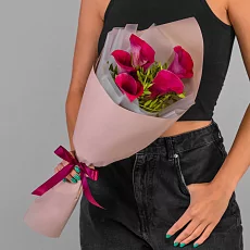 Букет из 5  Калл в упаковке